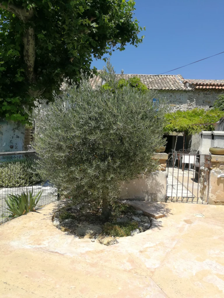 Propriété
