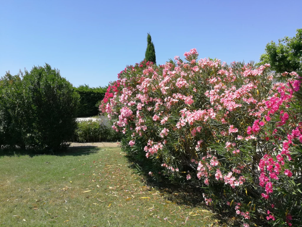 Propriété